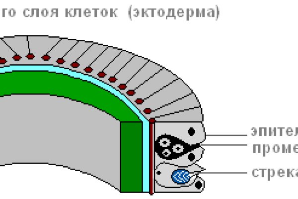 Сайт мега кракен