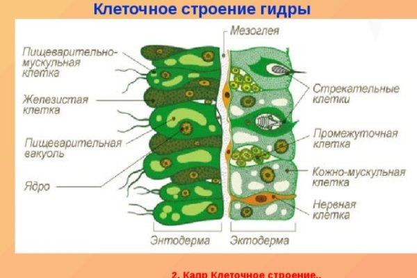 Как восстановить аккаунт на кракене даркнет