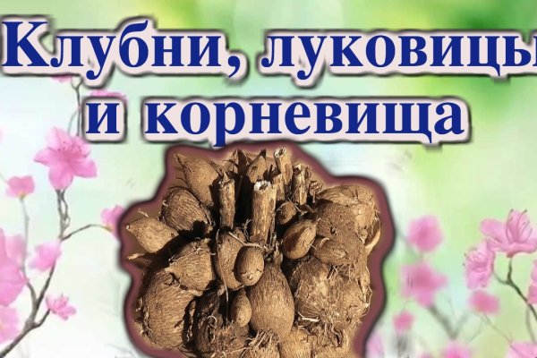 Сайт кракен что это такое