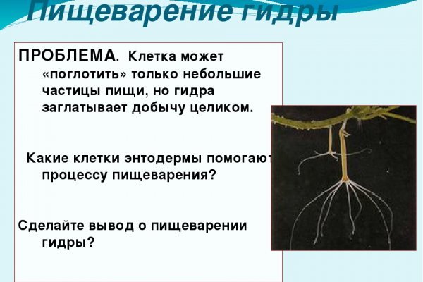 Кракен ссылка германия