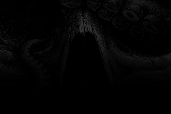 Как вывести деньги с kraken