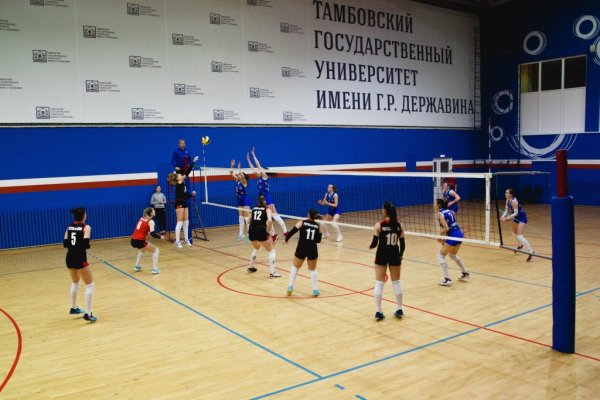Ссылка на кракен через тор
