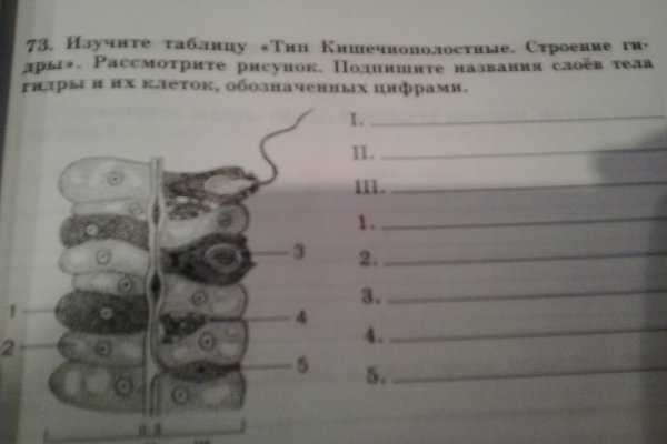 Зарегистрироваться на сайте кракен