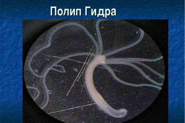 Кракен дарк сайт