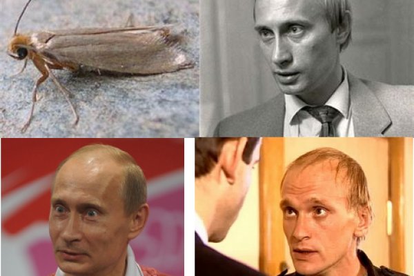 Кракен сайт зеркало рабочее