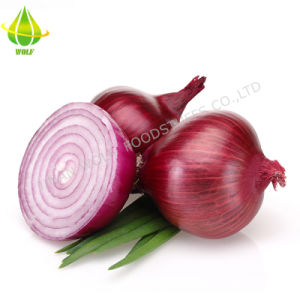 Kra29at